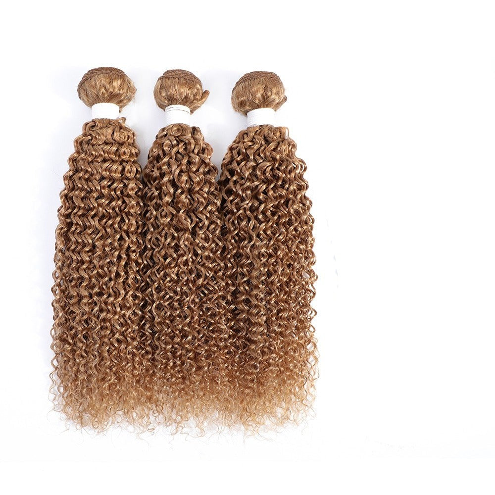 Kinky Curly Human Hair BUNDLES with 4x4 CLOSURES & 1