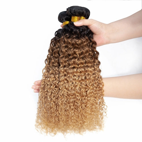 Kinky Curly Human Hair BUNDLES with 4x4 CLOSURES & 1