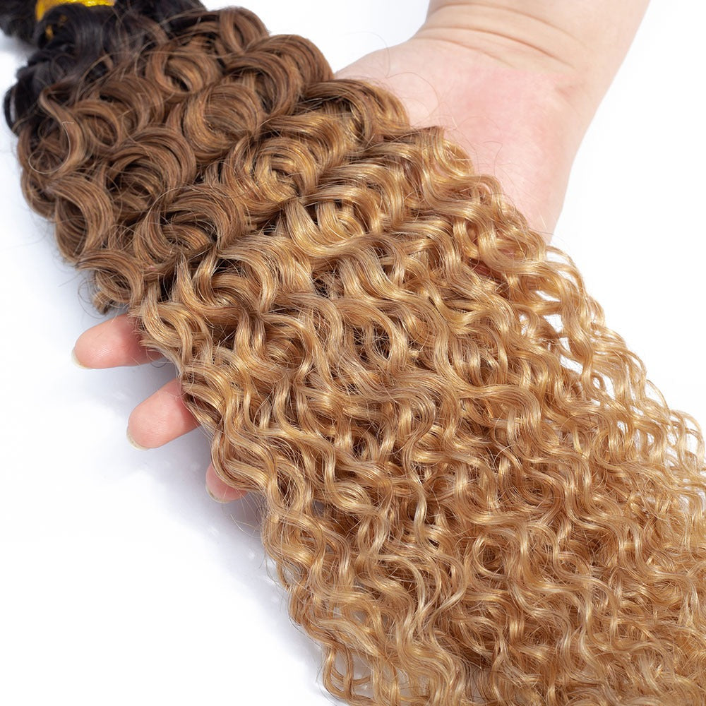 Kinky Curly Human Hair BUNDLES with 4x4 CLOSURES & 1